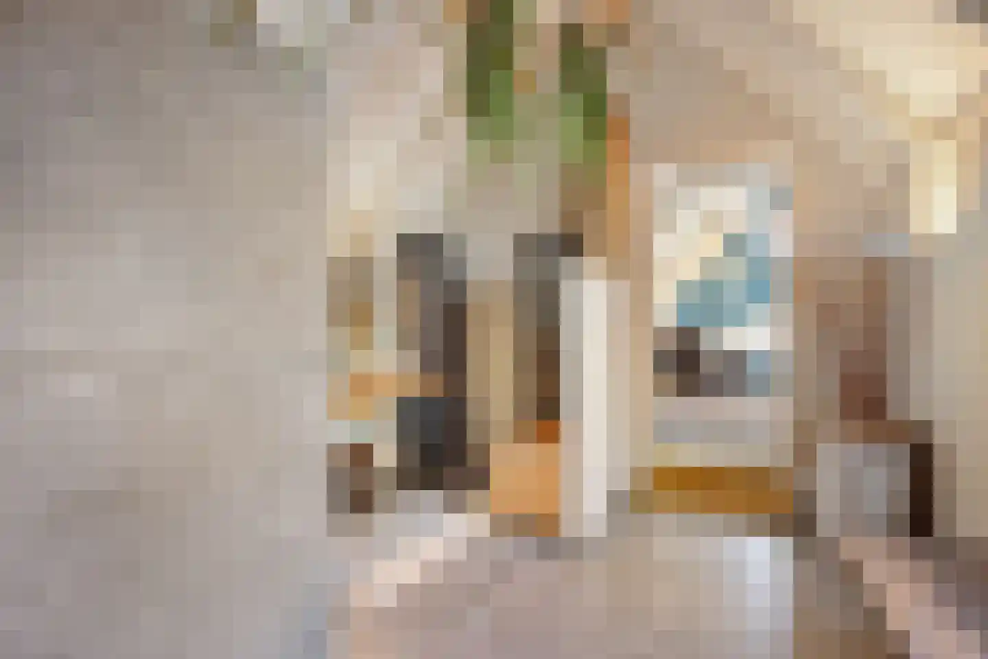 Molenstraat 119 Oss thumbnail 29