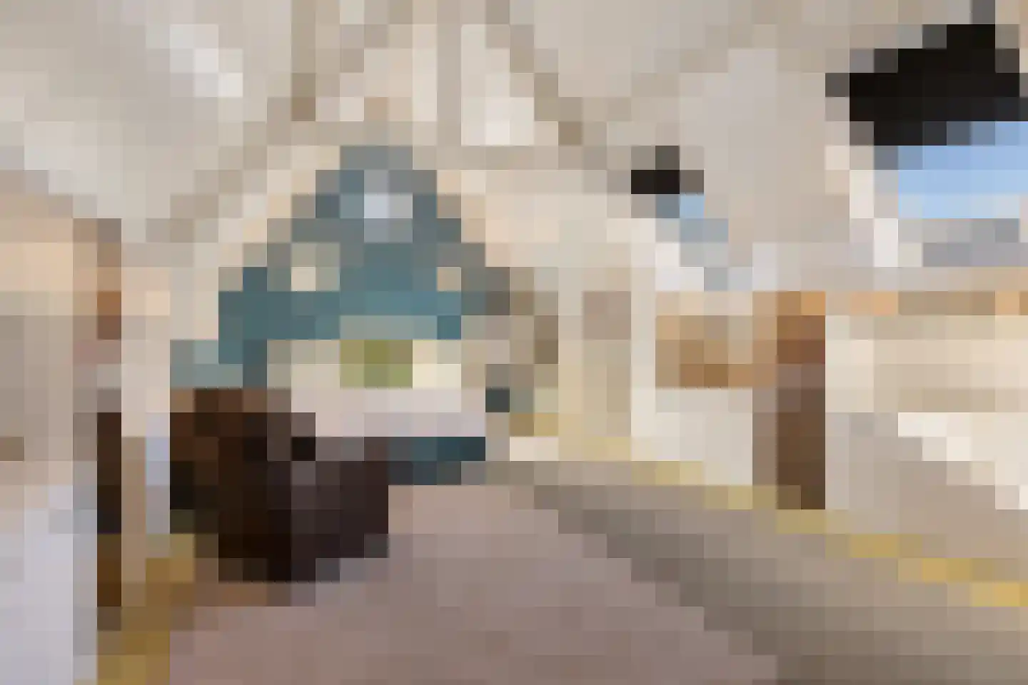 Molenstraat 119 Oss thumbnail 30