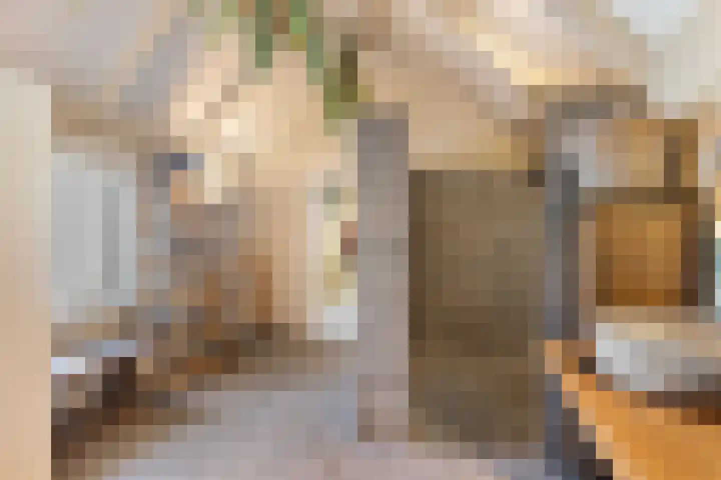 Molenstraat 119 Oss thumbnail 4