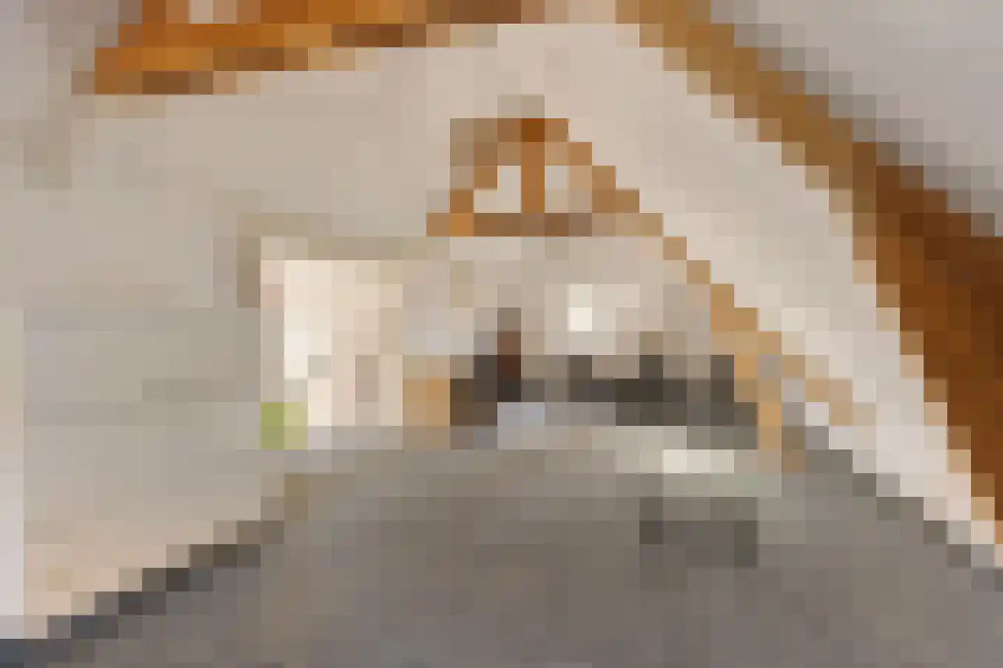 Molenstraat 119 Oss thumbnail 40