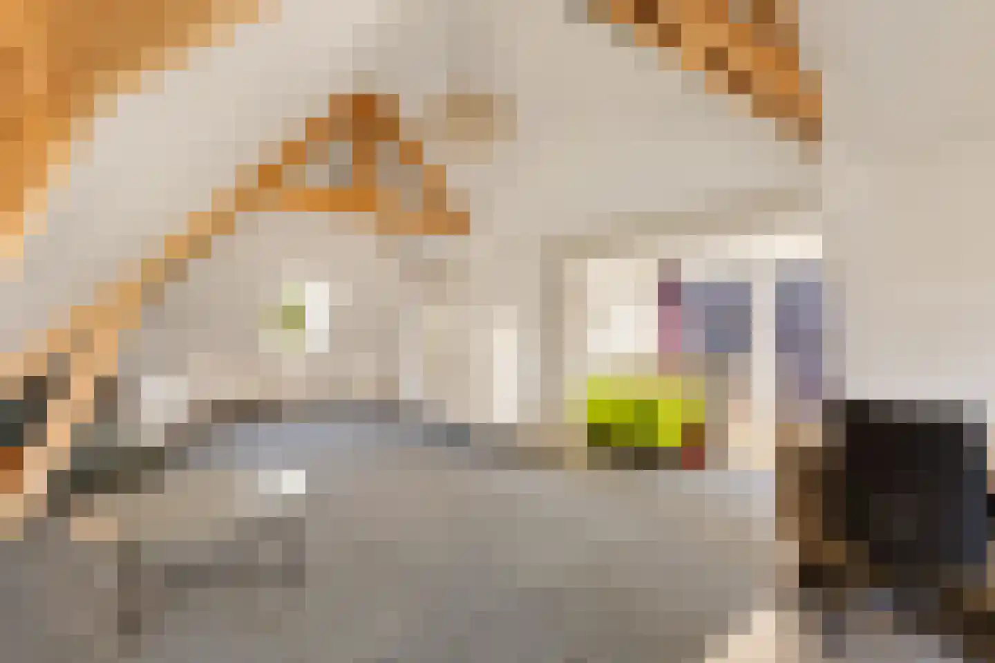 Molenstraat 119 Oss thumbnail 41