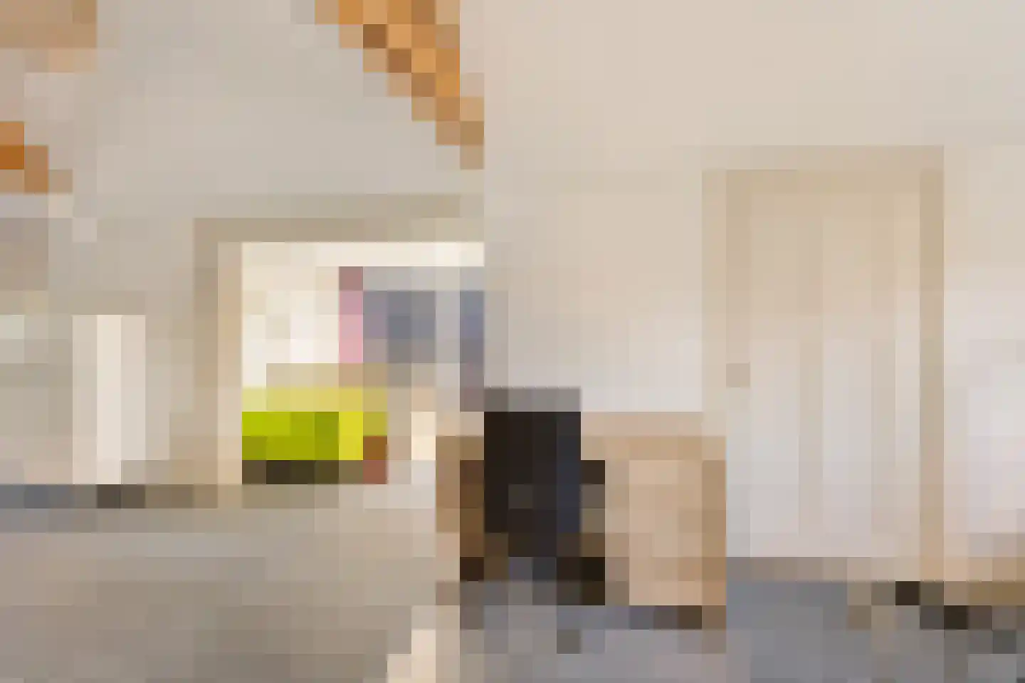 Molenstraat 119 Oss thumbnail 42