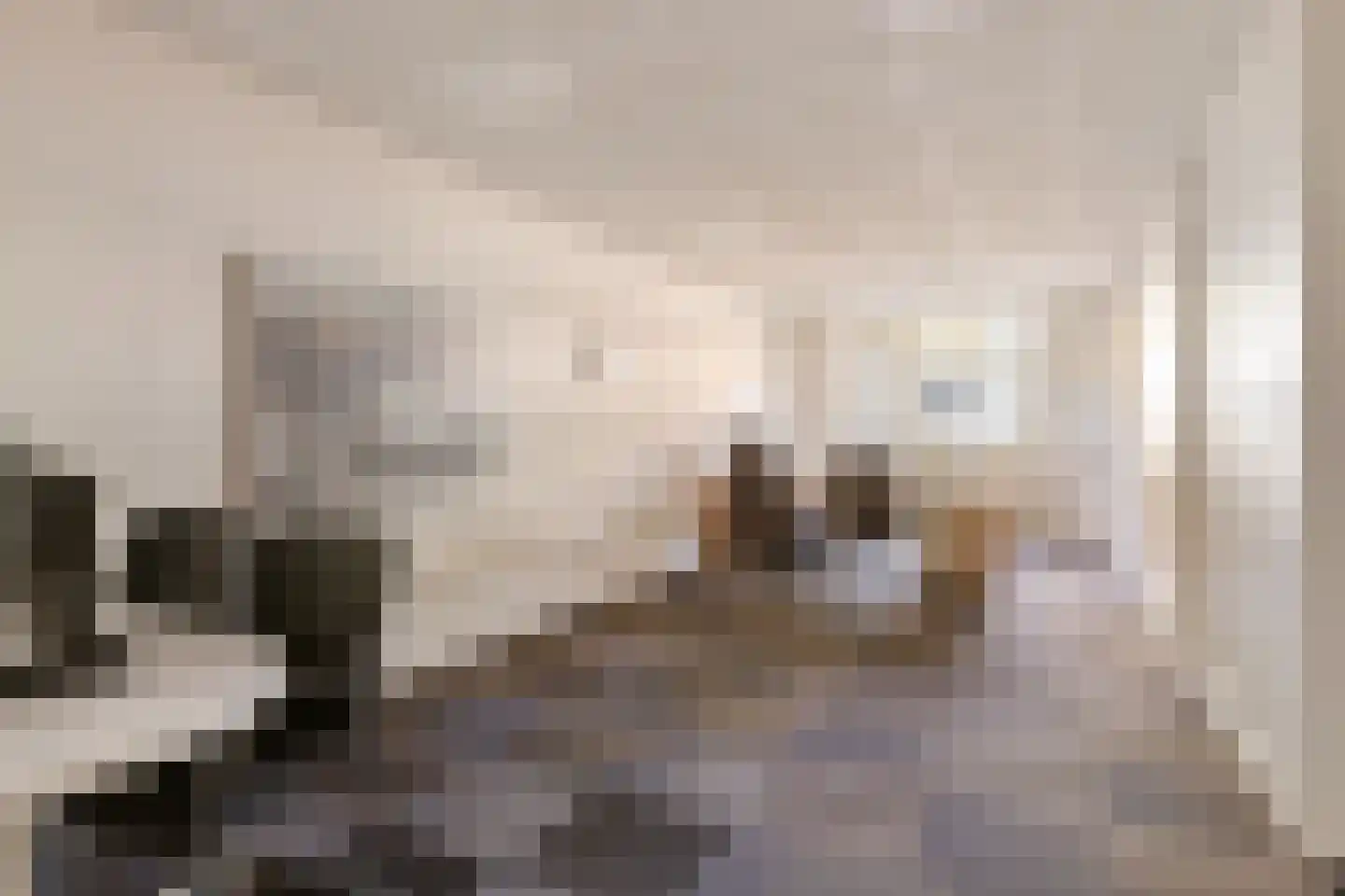 Molenstraat 119 Oss thumbnail 9