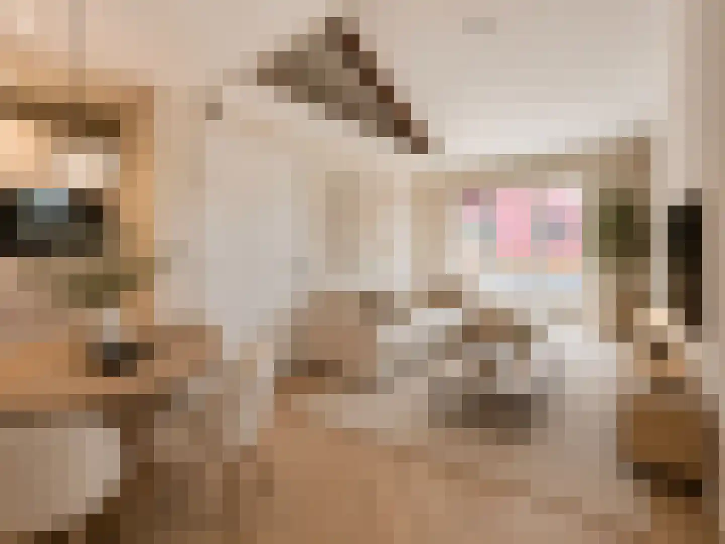 Molenstraat 12 Amerongen thumbnail 5