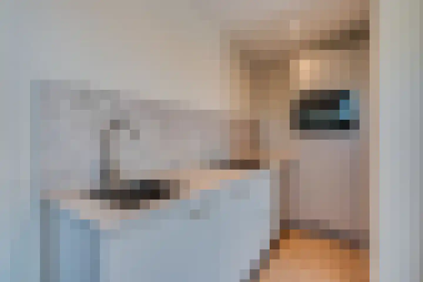 Molenstraat 12 Amerongen thumbnail 8