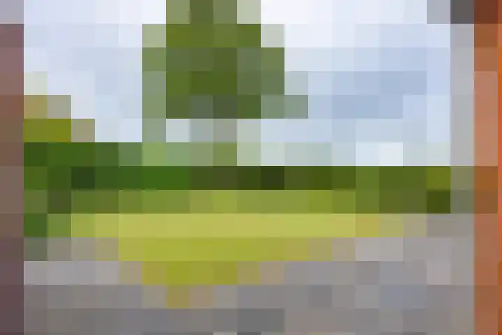 Molenstraat 12 Eenrum thumbnail 16