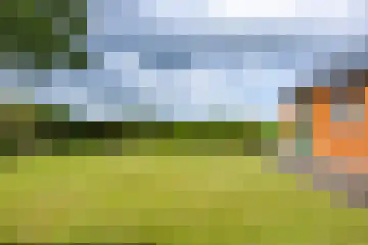 Molenstraat 12 Eenrum thumbnail 17