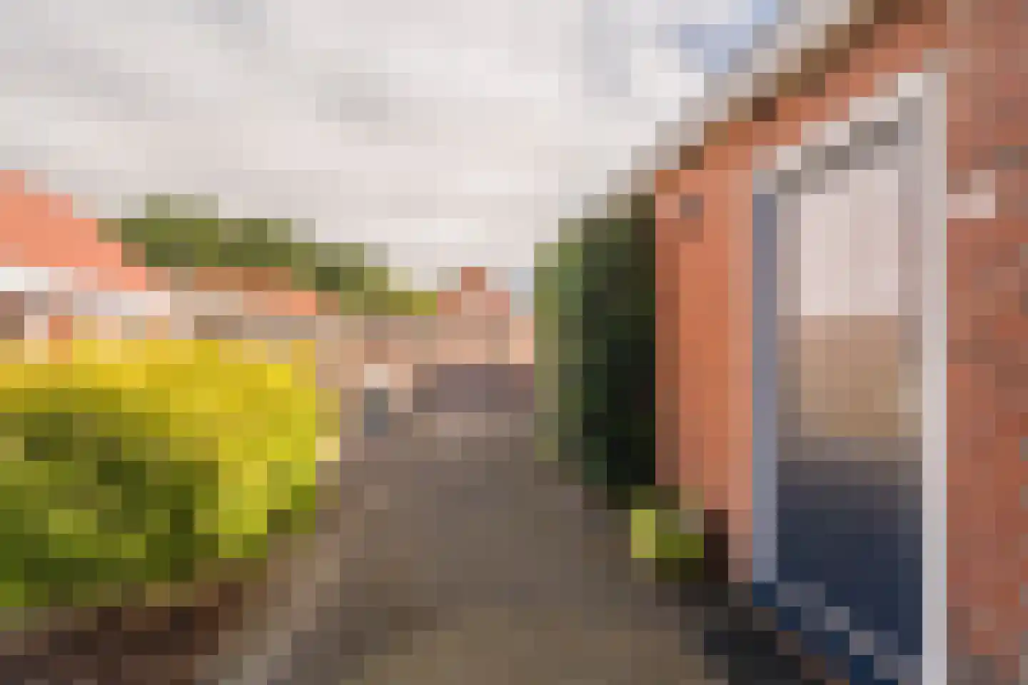 Molenstraat 12 Farmsum thumbnail 14