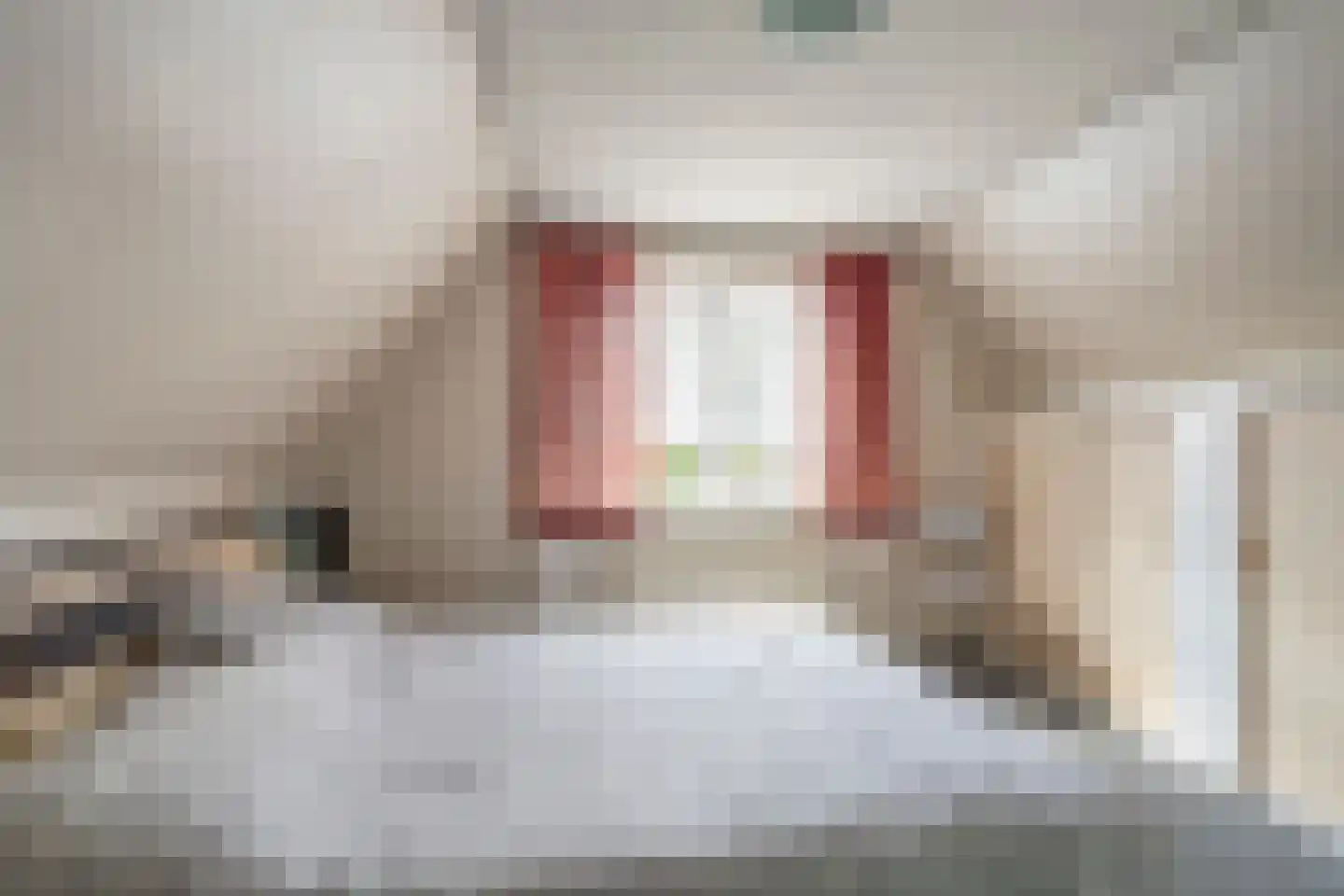 Molenstraat 12 Farmsum thumbnail 32