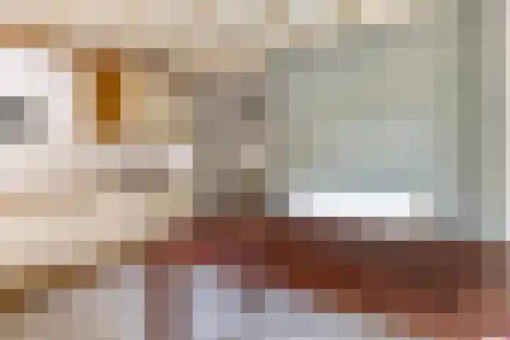 Molenstraat 12 Gemert thumbnail 11