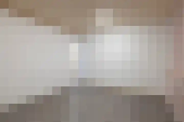 Molenstraat 12 Gemert thumbnail 17