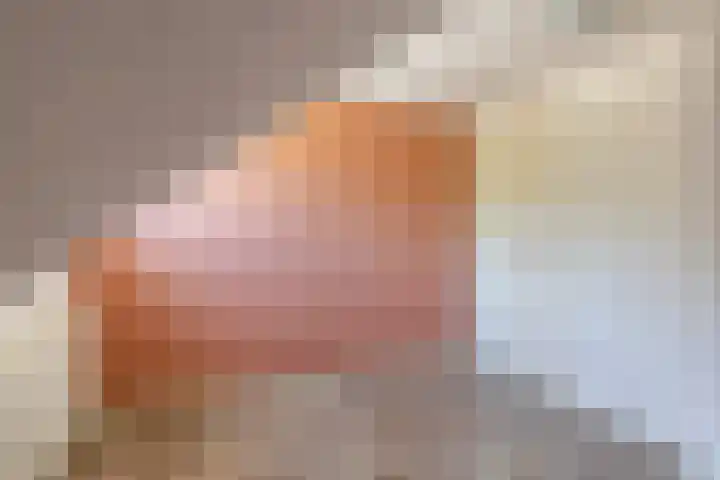 Molenstraat 12 Gemert thumbnail 21