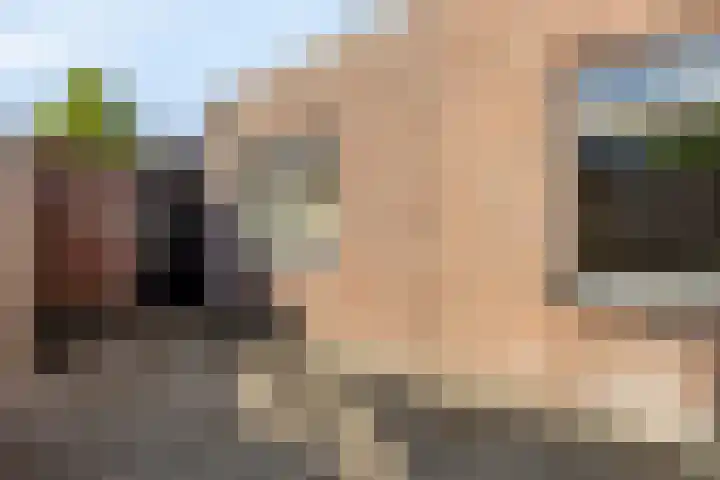 Molenstraat 12 Gemert thumbnail 25