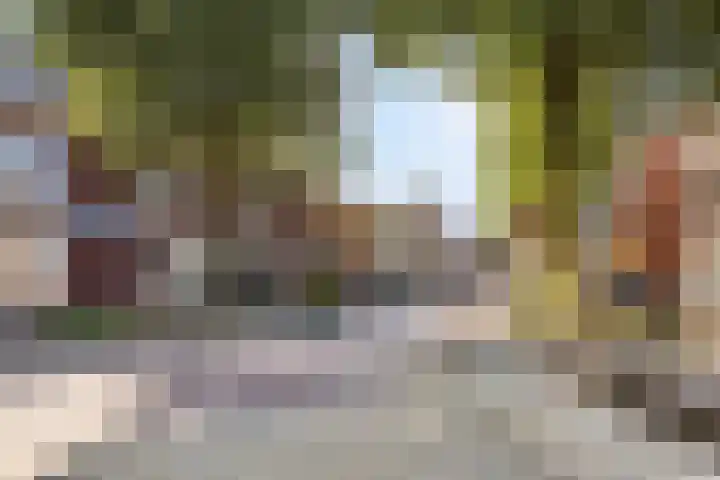 Molenstraat 12 Gemert thumbnail 26