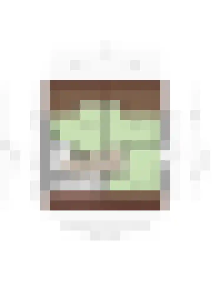 Molenstraat 12 Gemert thumbnail 28