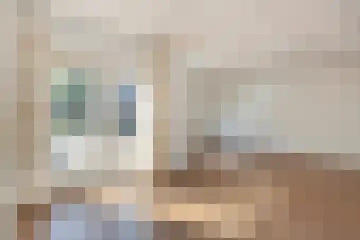 Molenstraat 12 Gemert thumbnail 9