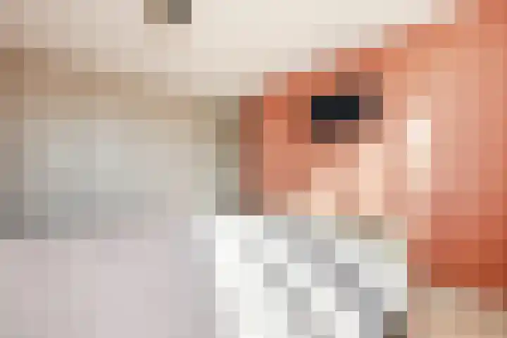 Molenstraat 12 Herpen thumbnail 18