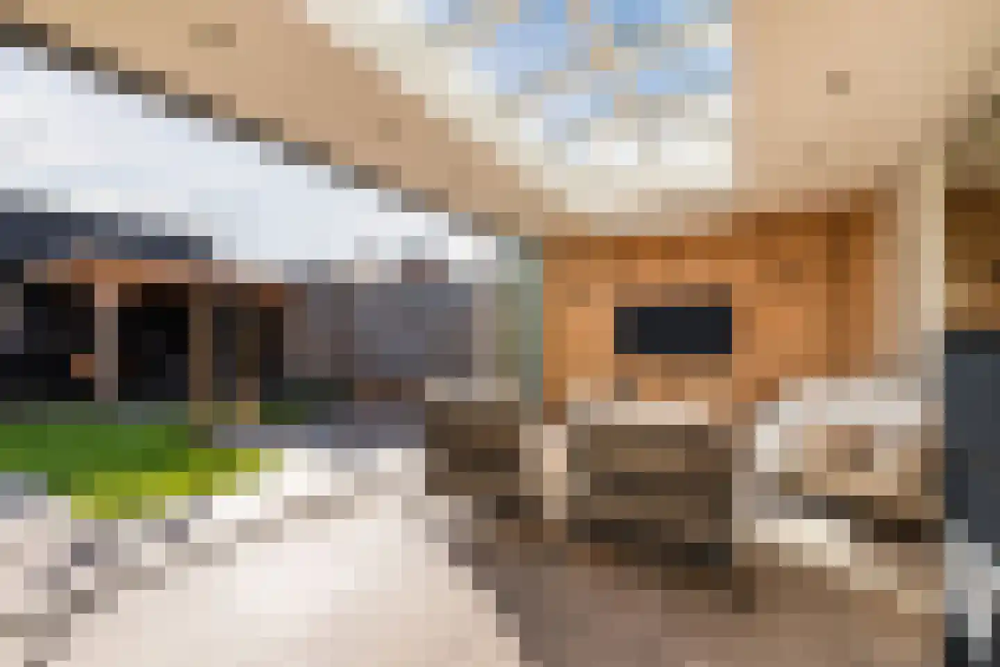 Molenstraat 12 Herpen thumbnail 28