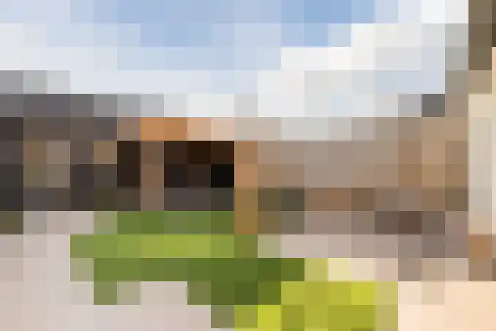 Molenstraat 12 Herpen thumbnail 29