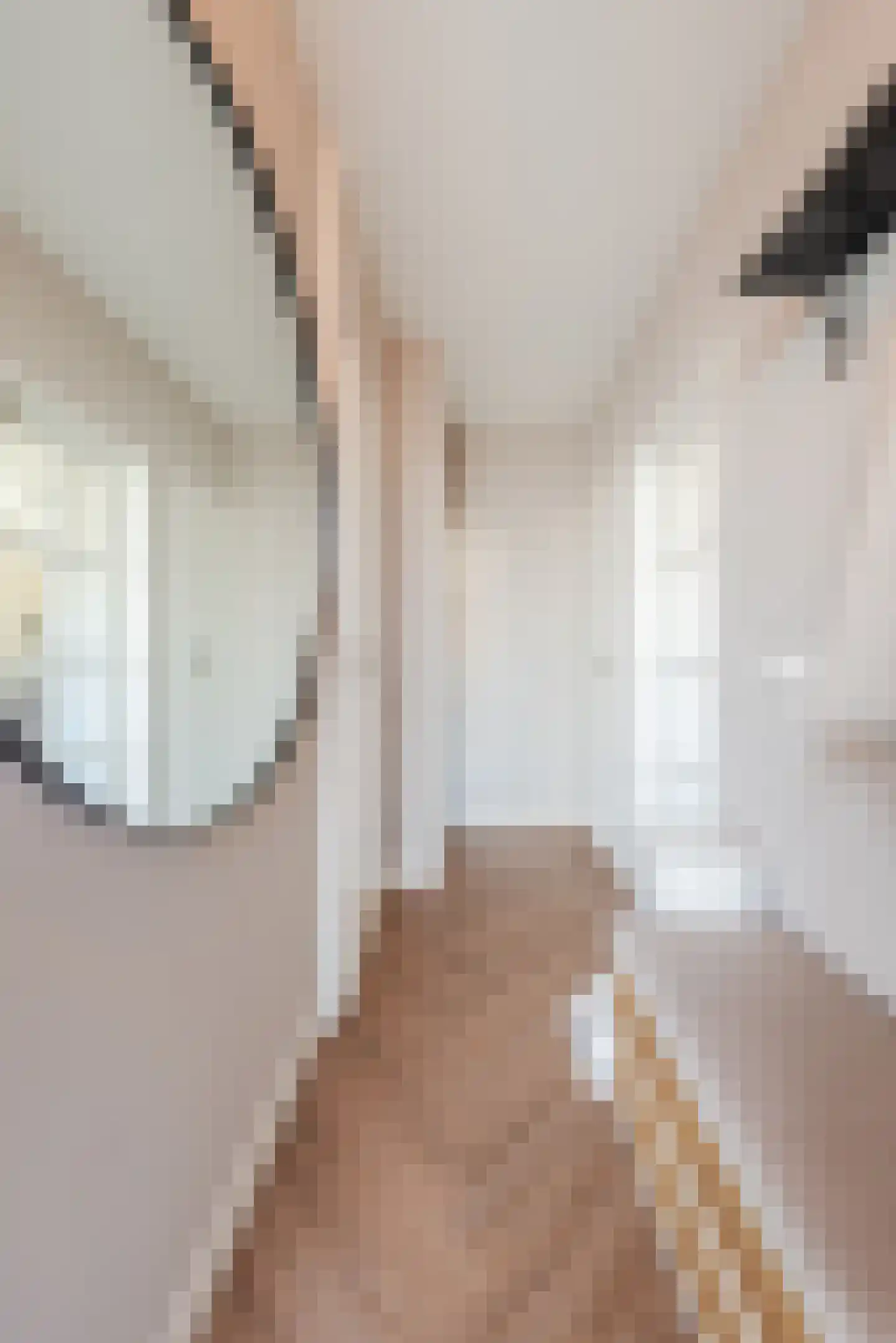 Molenstraat 12 Herpen thumbnail 37