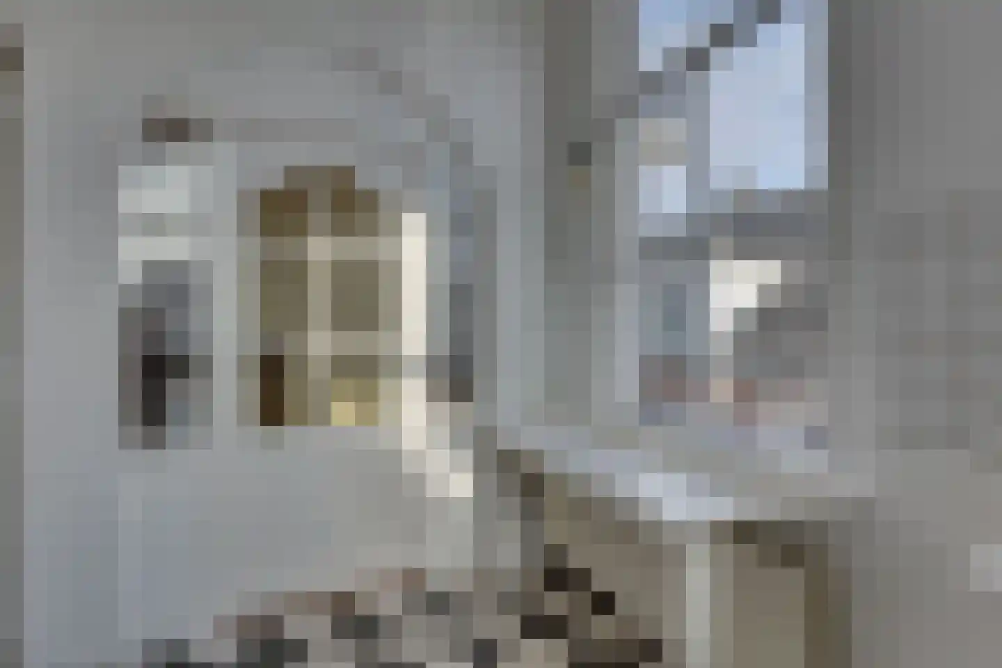 Molenstraat 12 Kampen thumbnail 37