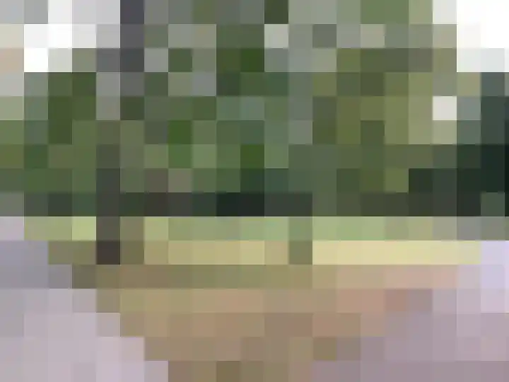 Molenstraat 12 Rotterdam thumbnail 17