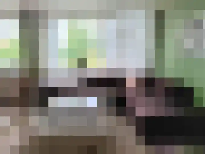 Molenstraat 12 Rotterdam thumbnail 5