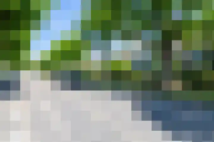 Molenstraat 121 Prinsenbeek thumbnail 35