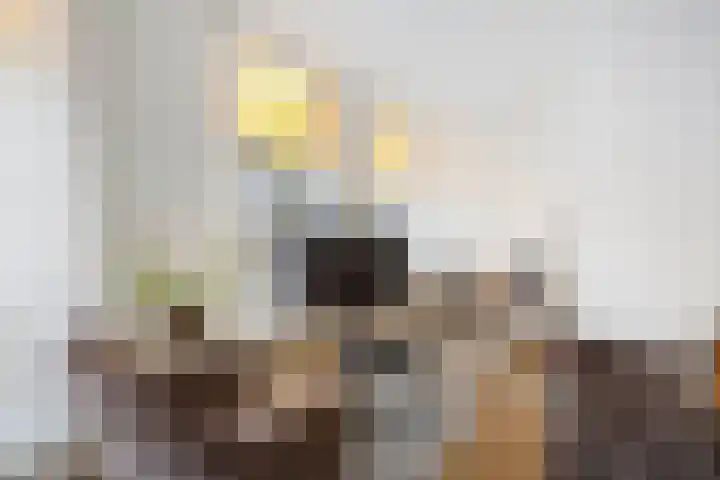 Molenstraat 123 Deventer thumbnail 7