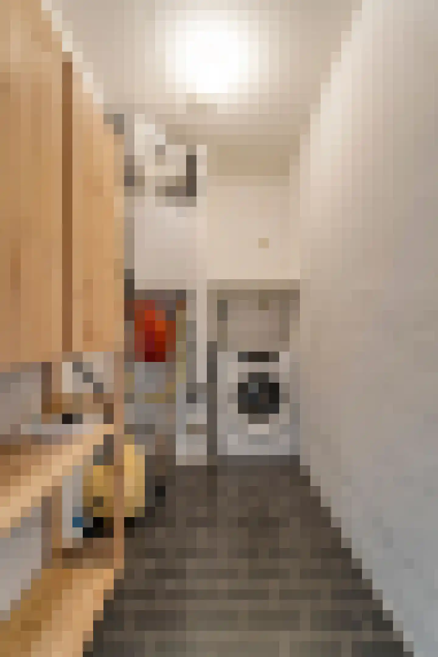 Molenstraat 123 Emmen thumbnail 16