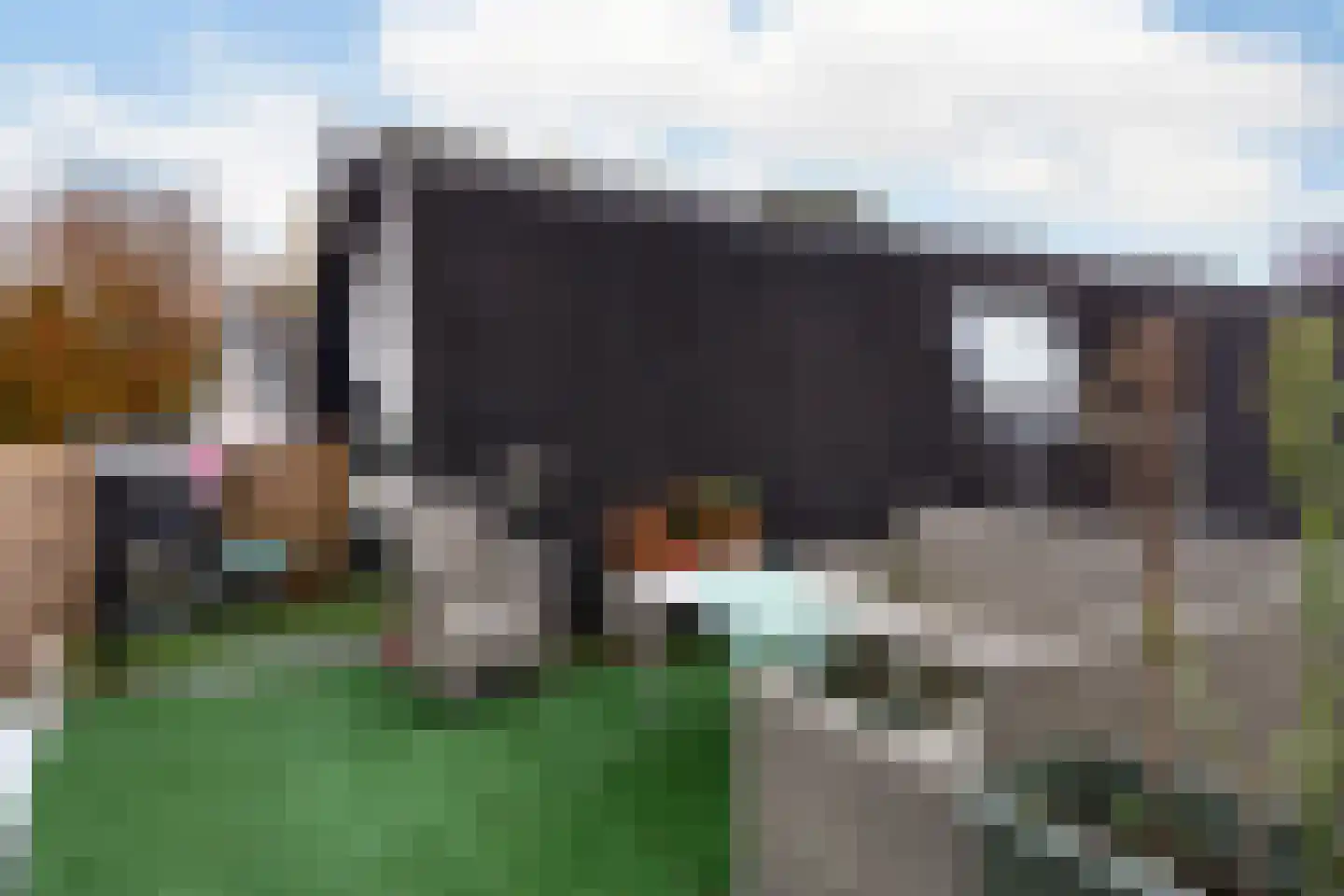 Molenstraat 125 A Apeldoorn thumbnail 20