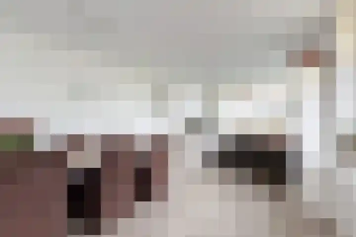 Molenstraat 125 Fijnaart thumbnail 18