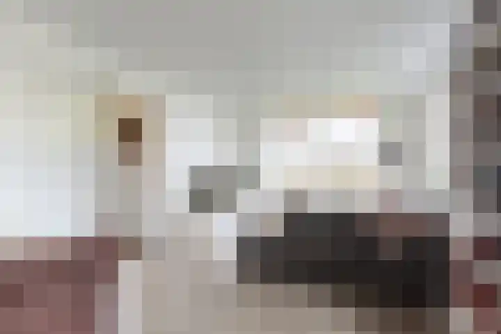 Molenstraat 125 Fijnaart thumbnail 20