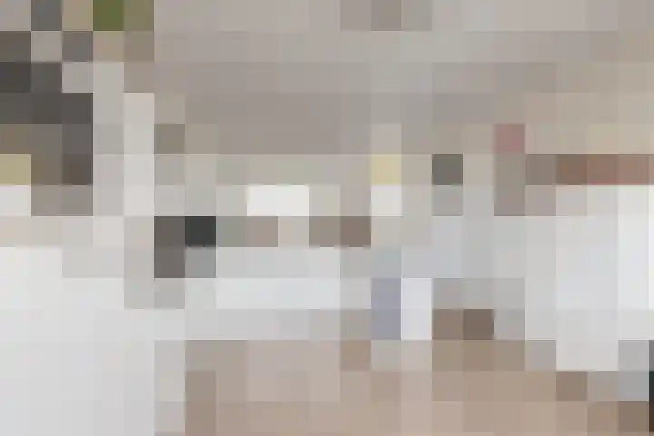 Molenstraat 125 Fijnaart thumbnail 31