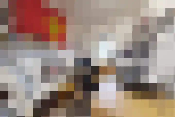 Molenstraat 125 Fijnaart thumbnail 32