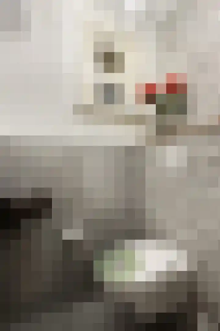 Molenstraat 125 Fijnaart thumbnail 33