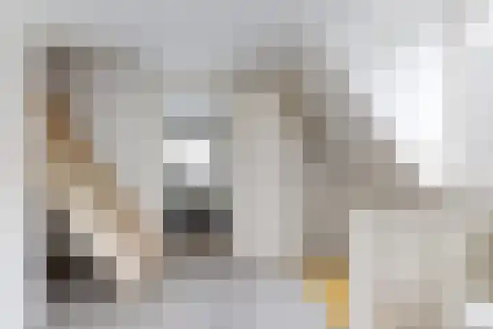 Molenstraat 125 Fijnaart thumbnail 35