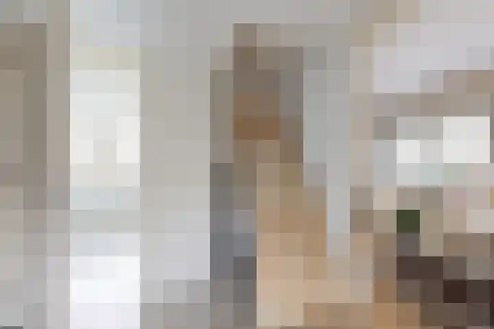 Molenstraat 125 Fijnaart thumbnail 37