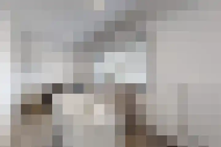 Molenstraat 125 Fijnaart thumbnail 39