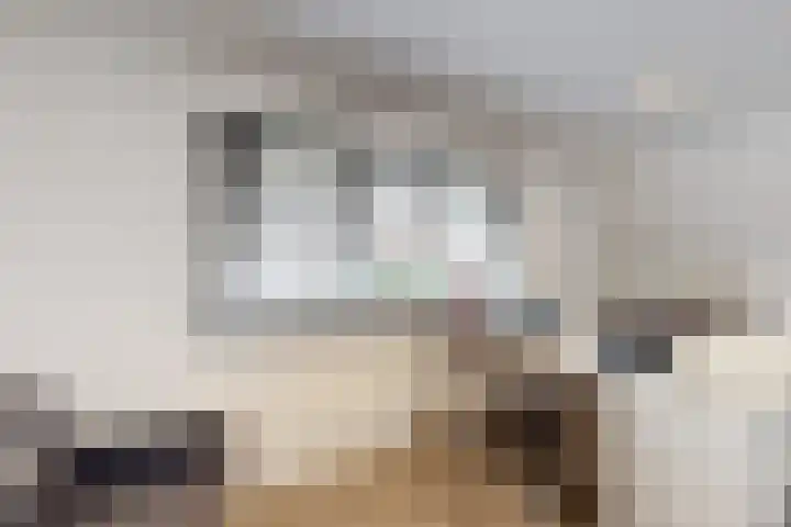 Molenstraat 125 Fijnaart thumbnail 41