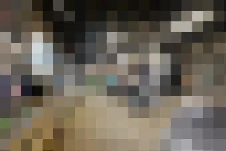 Molenstraat 125 Fijnaart thumbnail 53