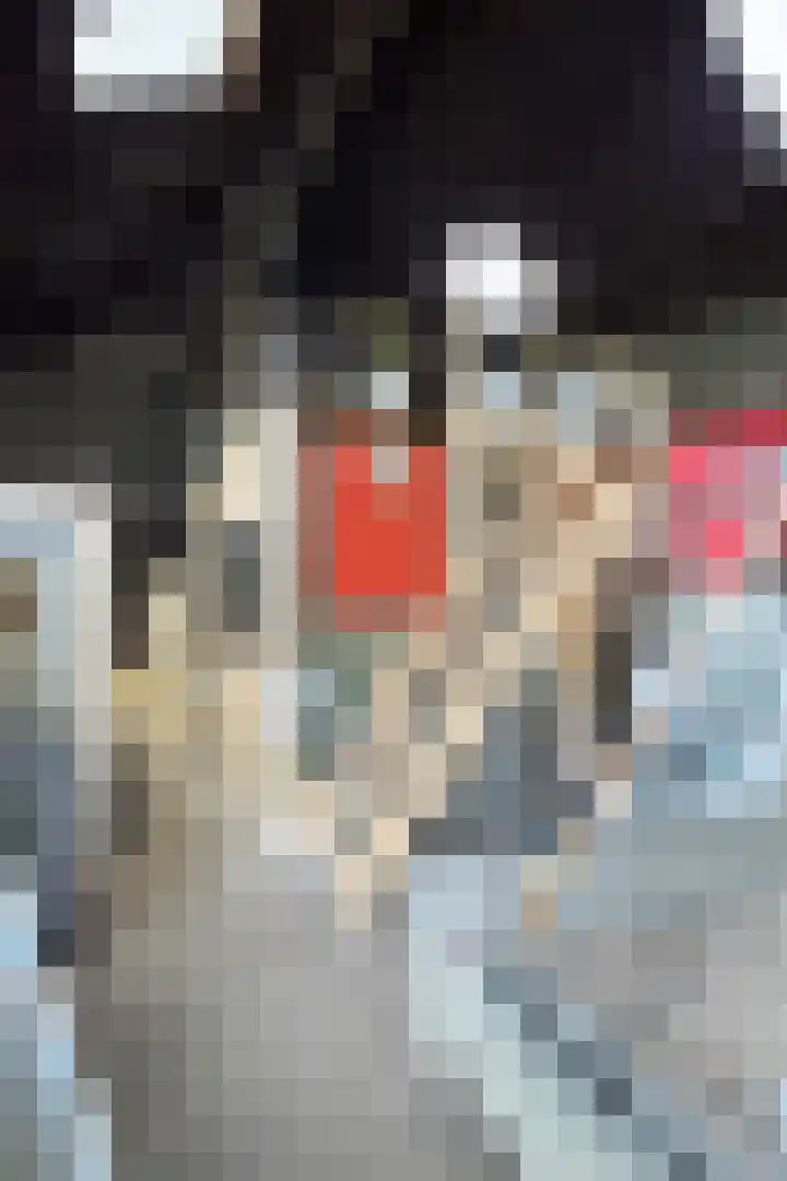 Molenstraat 125 Fijnaart thumbnail 58