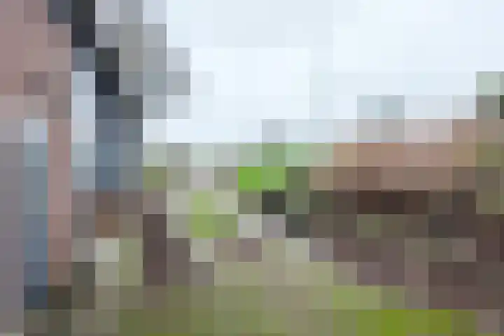 Molenstraat 125 Fijnaart thumbnail 62