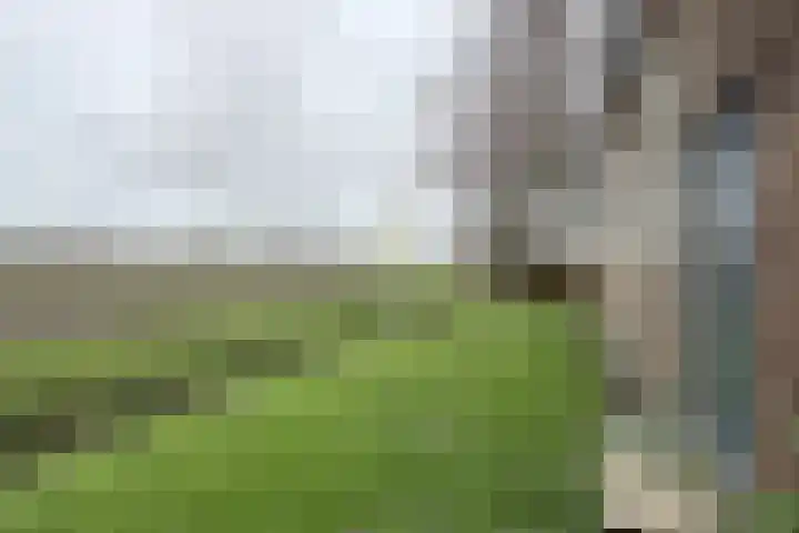 Molenstraat 125 Fijnaart thumbnail 71