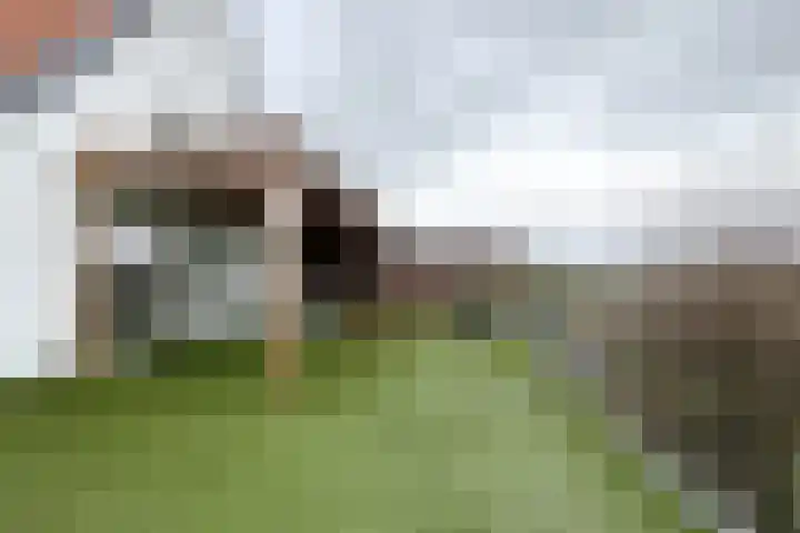 Molenstraat 125 Fijnaart thumbnail 76