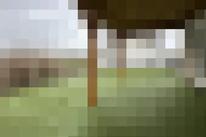 Molenstraat 125 Fijnaart thumbnail 77