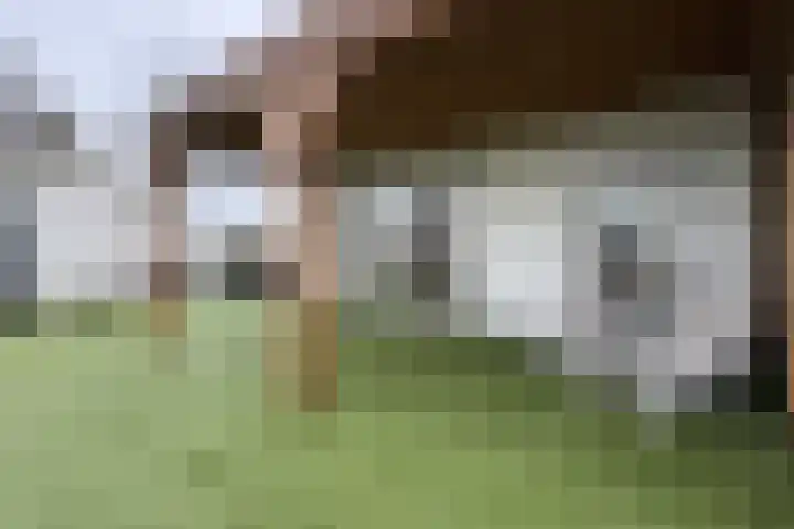 Molenstraat 125 Fijnaart thumbnail 78