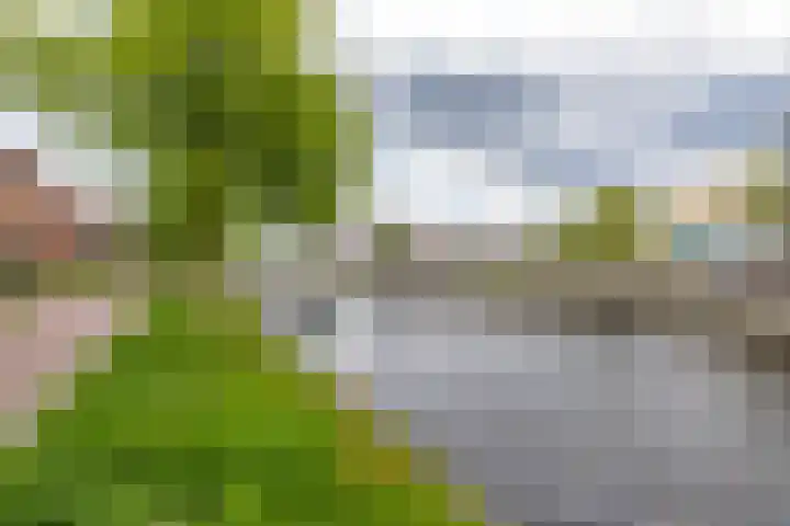 Molenstraat 126 B Assen thumbnail 4