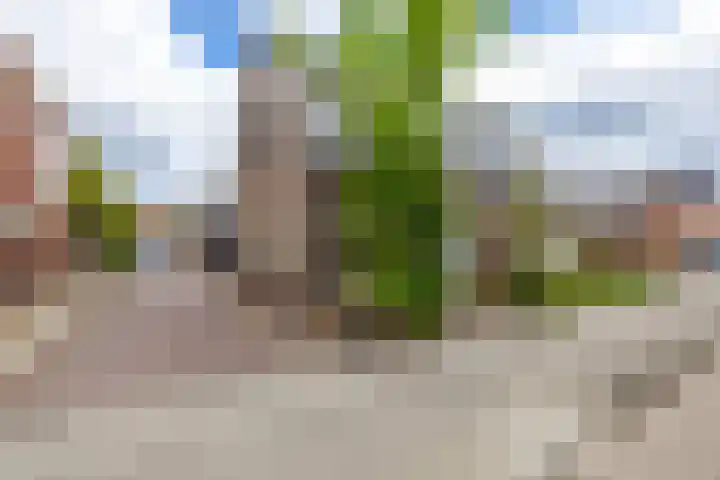 Molenstraat 126 B Assen thumbnail 6