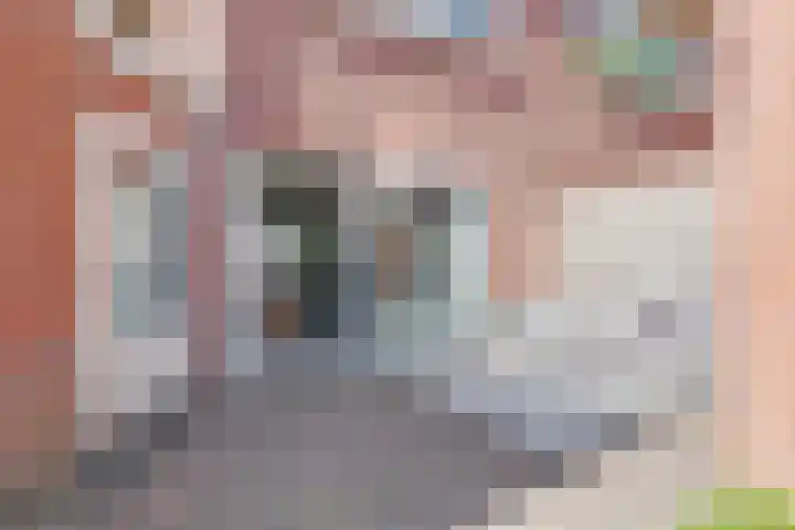 Molenstraat 128 Assen thumbnail 36